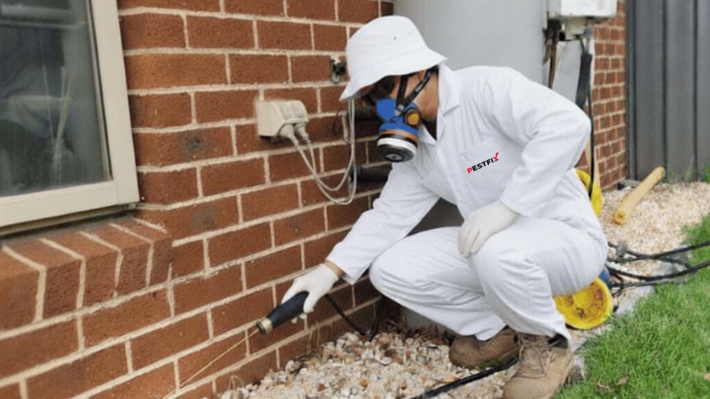 Home Pest Control Services