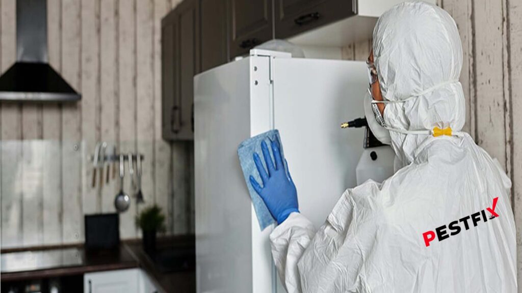 Professional Pest Control Services