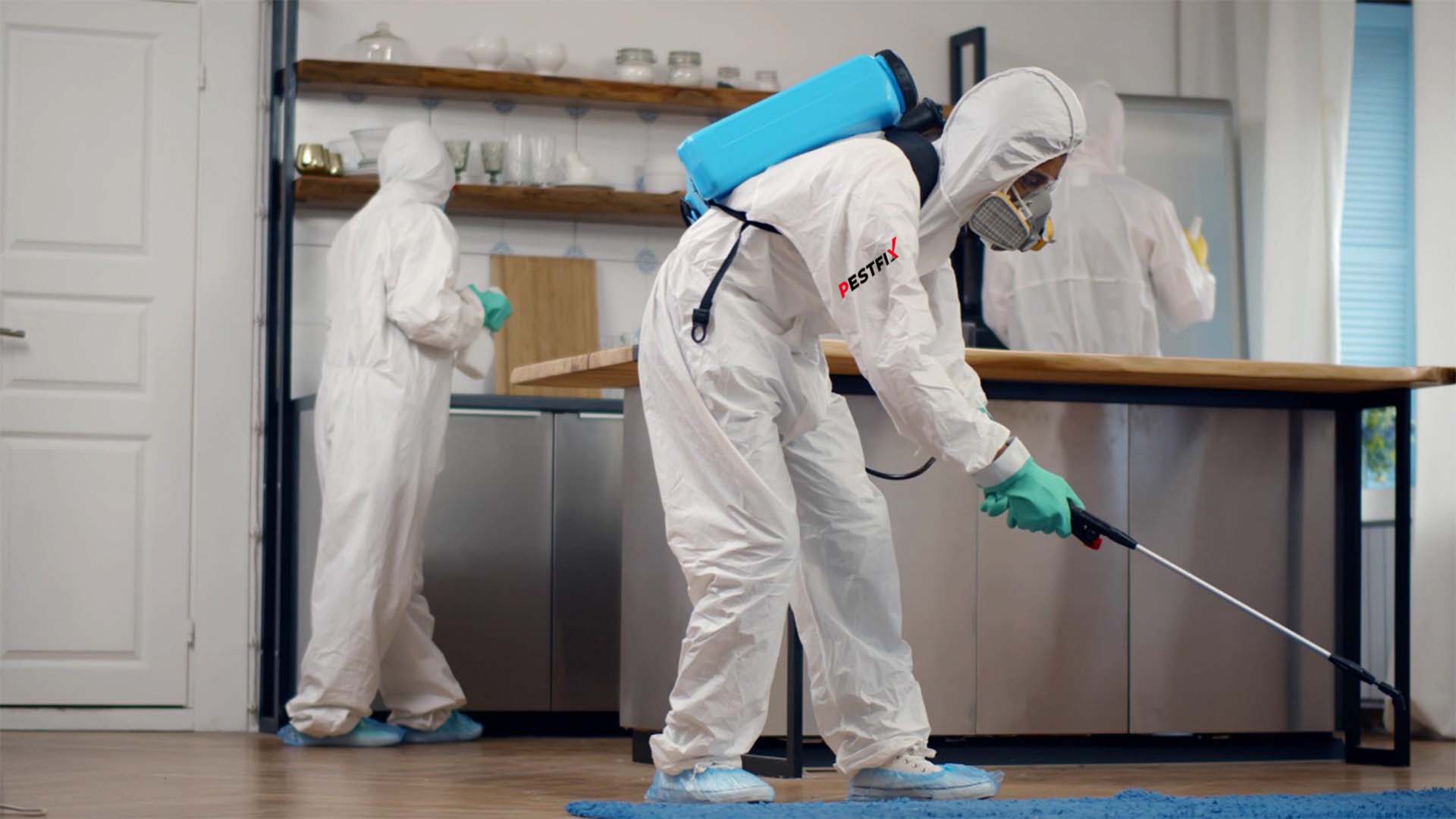 Residential Pest Control Services