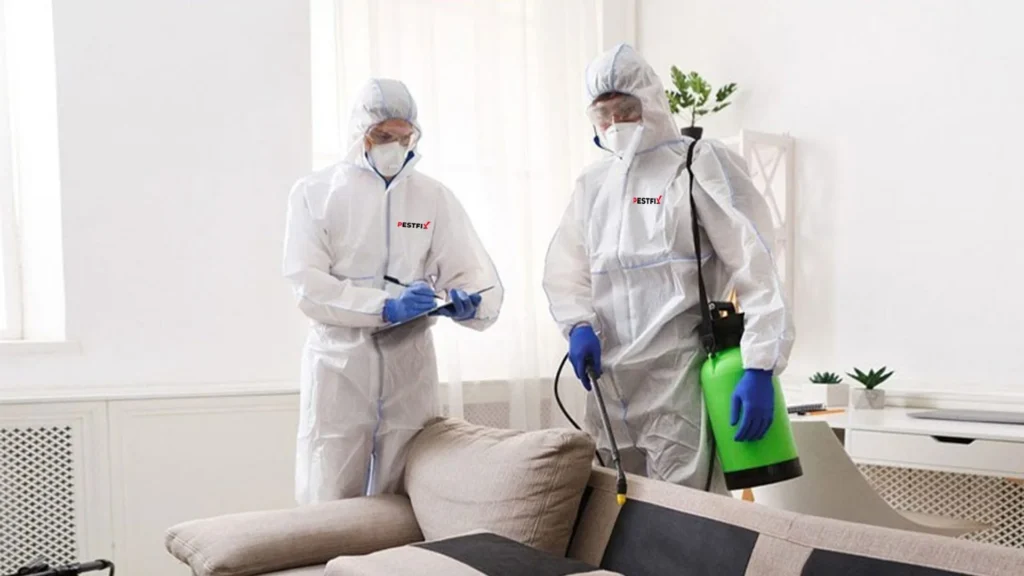 Pest Control Service Toronto