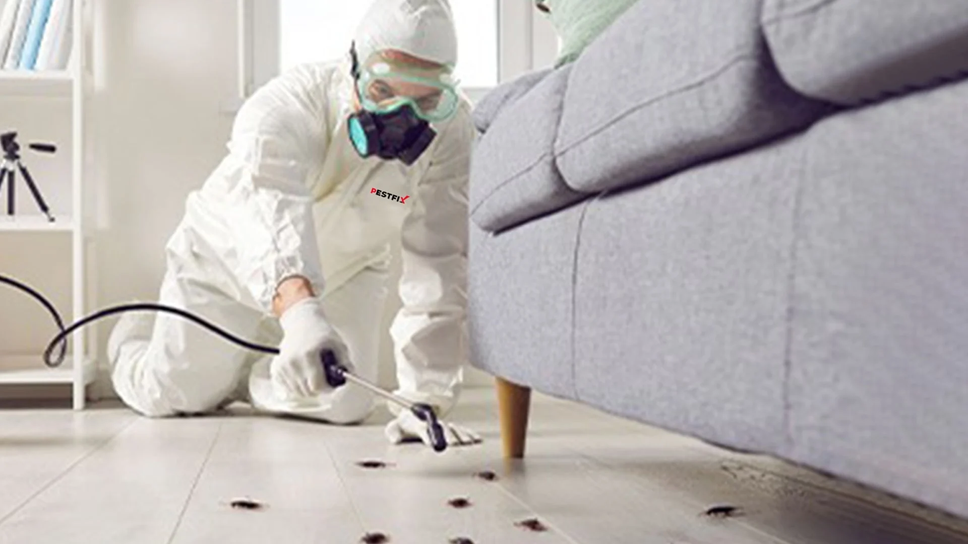 Professional Pest Control Service