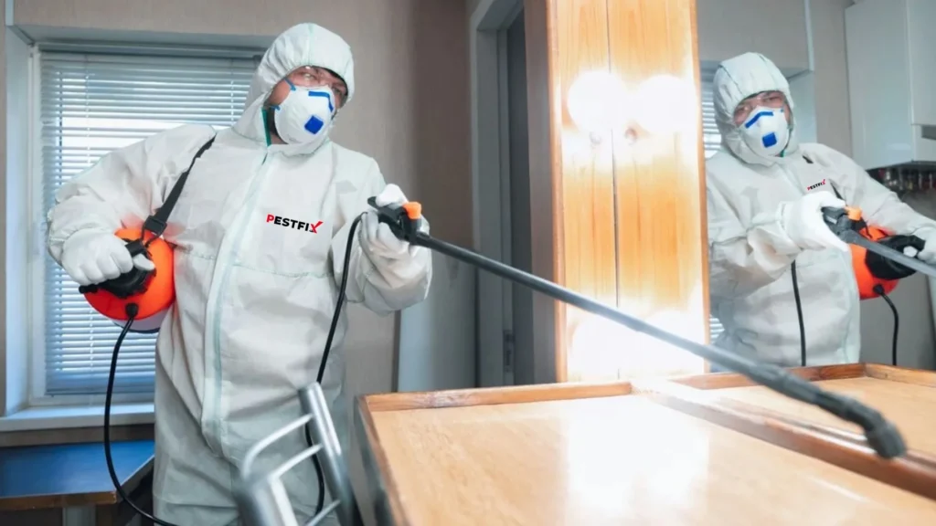 Professional Pest Control Services