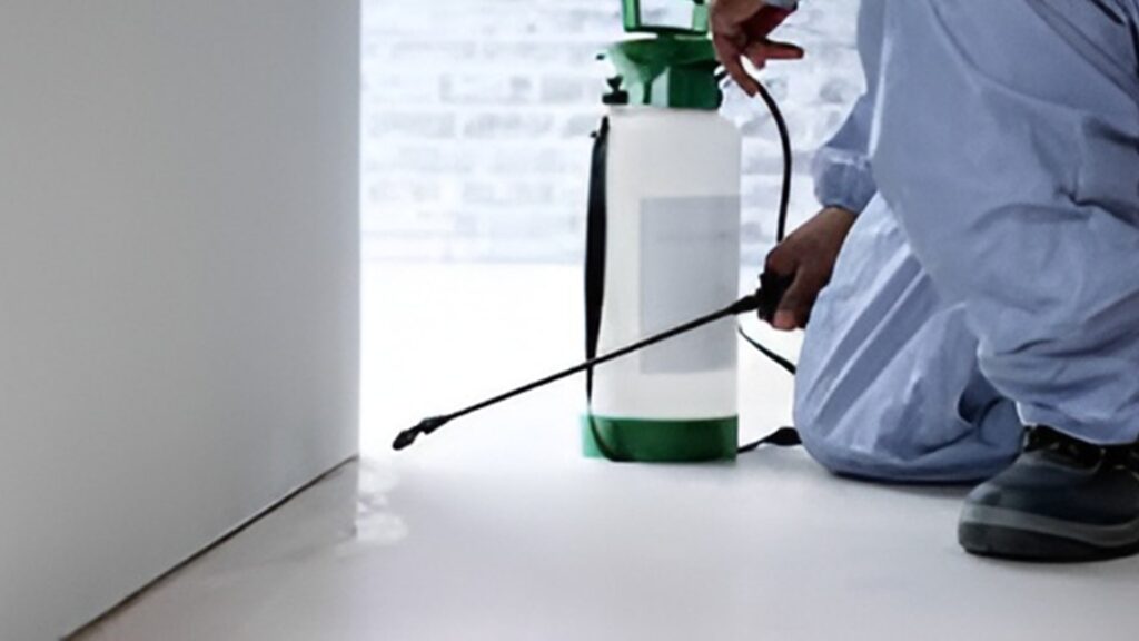 Pest Control Service